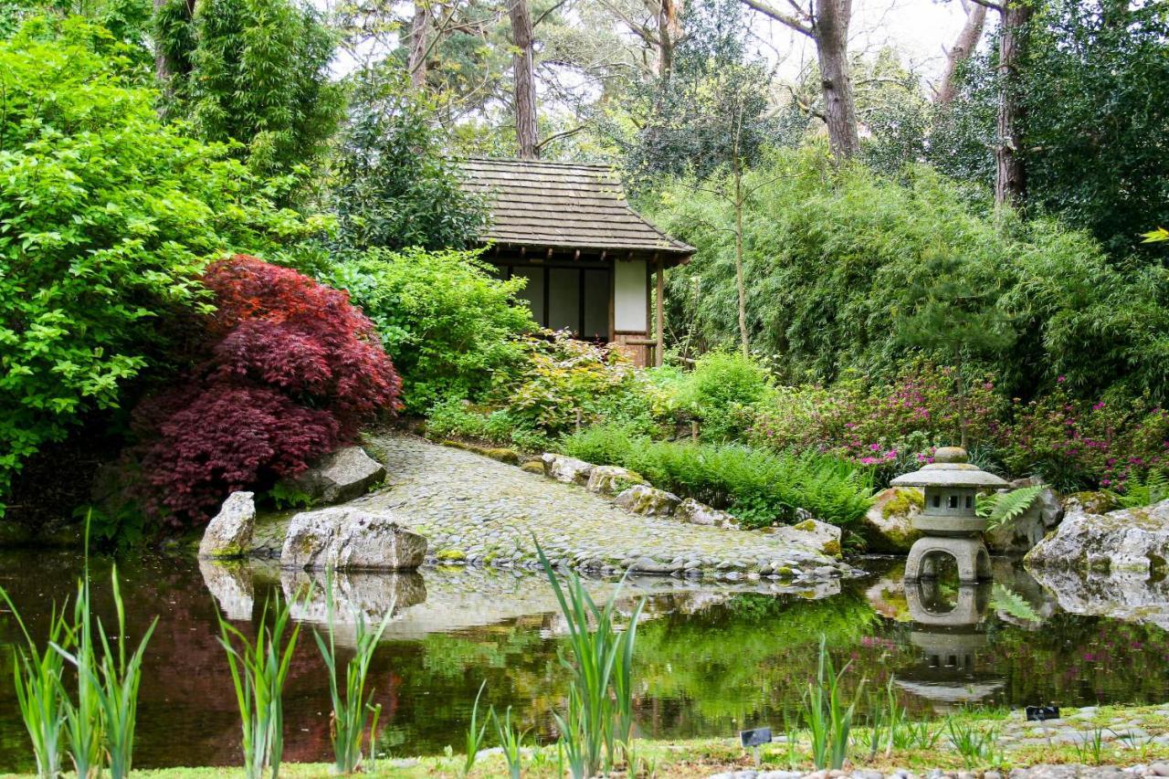 Pinetum Garden Cottages St Austell Bagian luar foto