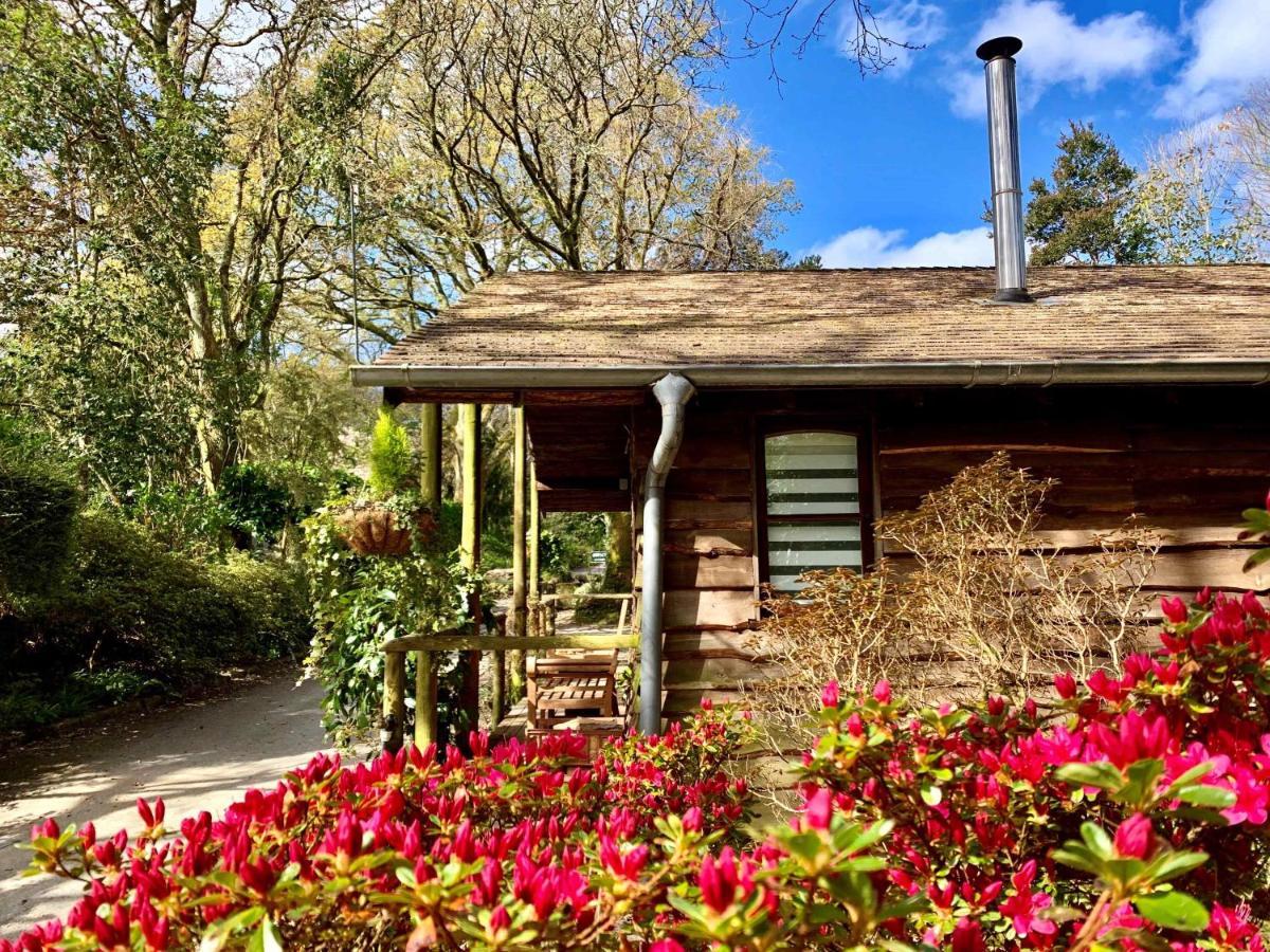 Pinetum Garden Cottages St Austell Bagian luar foto