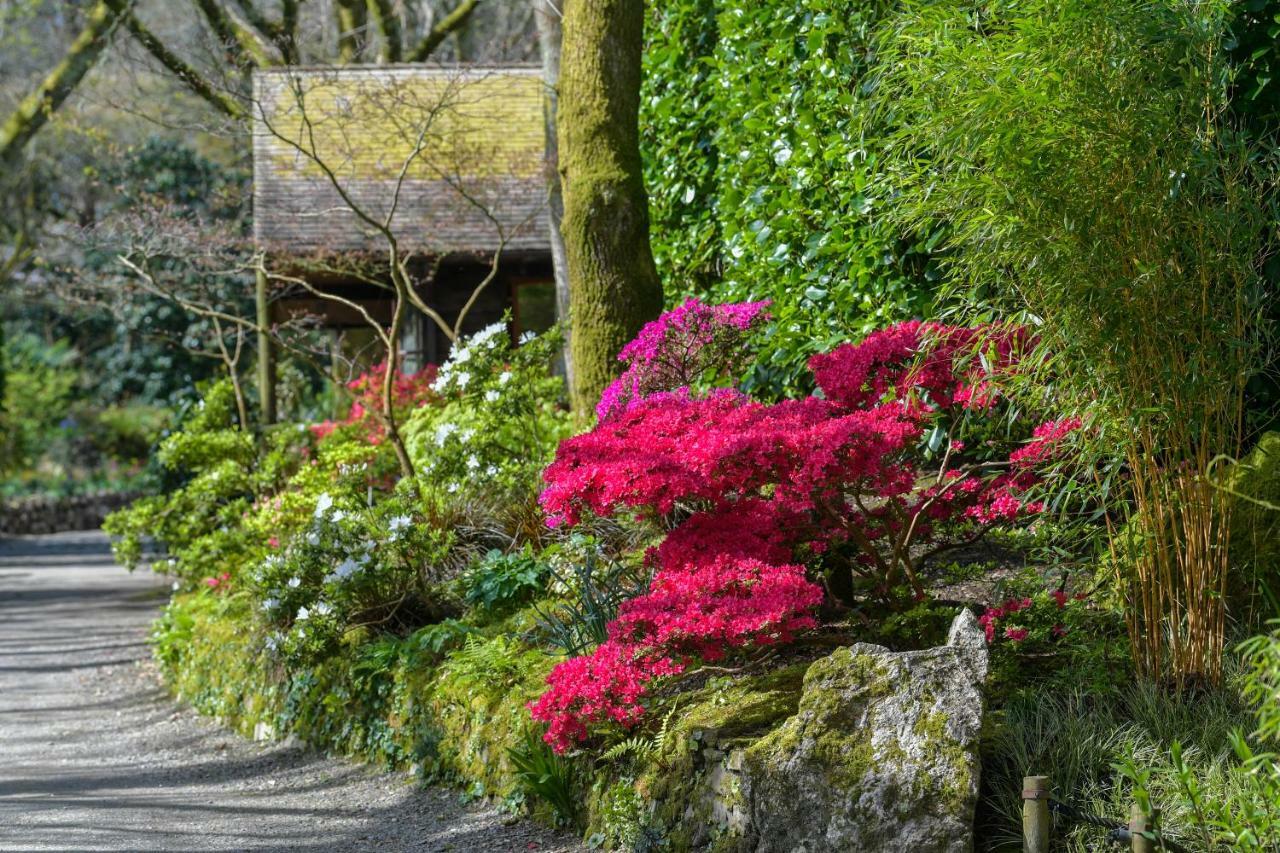 Pinetum Garden Cottages St Austell Bagian luar foto